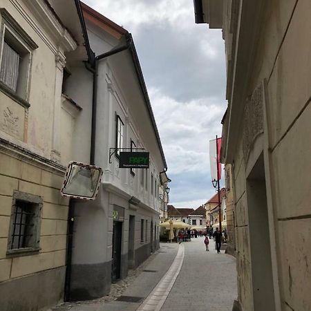 Apartma Linhartov Trg Radovljica Exterior photo