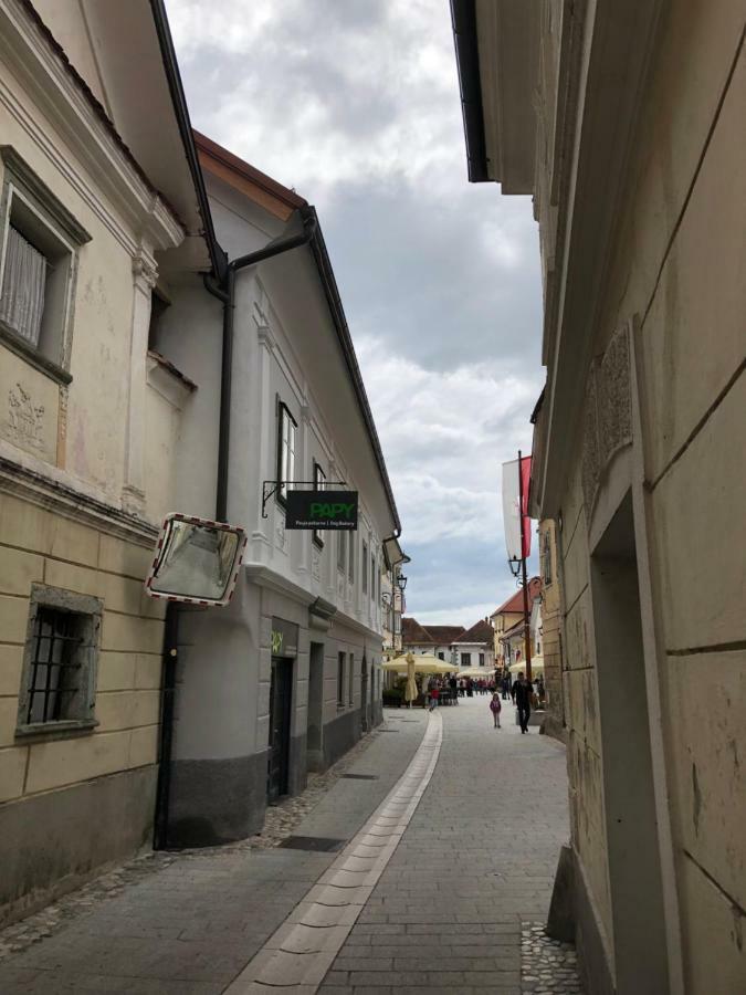 Apartma Linhartov Trg Radovljica Exterior photo