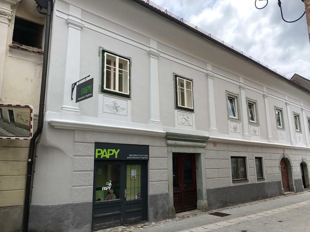 Apartma Linhartov Trg Radovljica Exterior photo